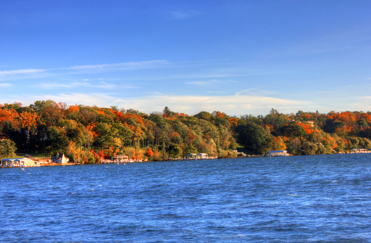 Autumn trees along the shore of Geneva Lake